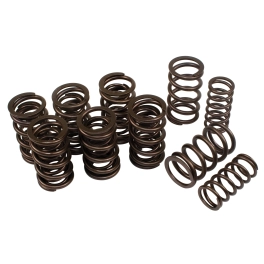 EMPI 00-4037-0 Dual Valve Springs, for Aircooled VW, 16 Springs