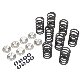 Single Valve Spring Kit, for Aircooled VW, Complete Kit