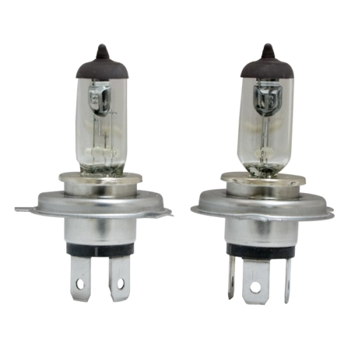 Head Light Bulbs, H4 100/55 Watt, Gold, Pair